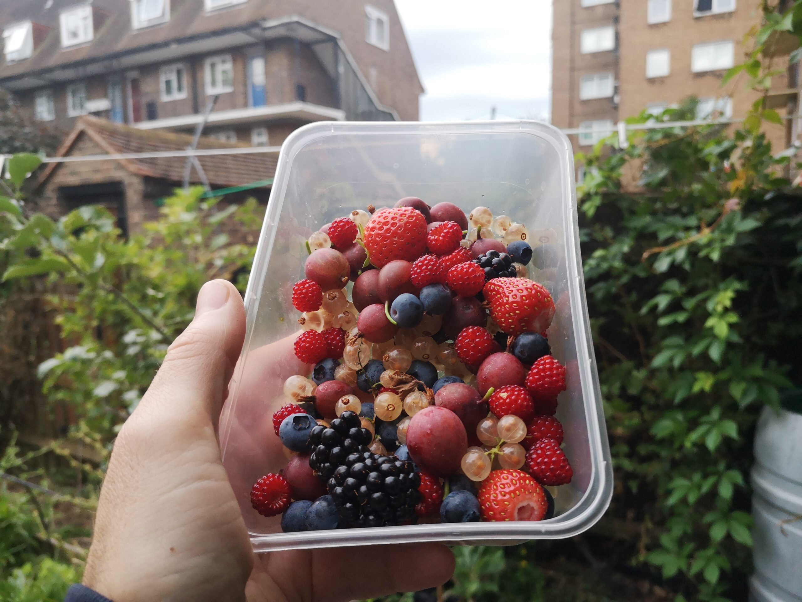 Walworth Neighbourhood Food Model